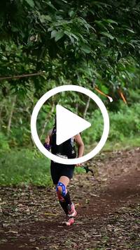 BIB:  <button type="button" onclick="openModal(27288669)" class="btn btn-primary btn-sm float-right" data-toggle="modal" data-target=".modal-high-quality">
                <i class="fa fa-download"></i> Download
                </button>